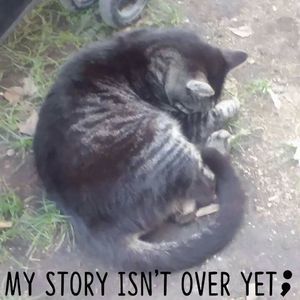 Meet your Posher, Melisa